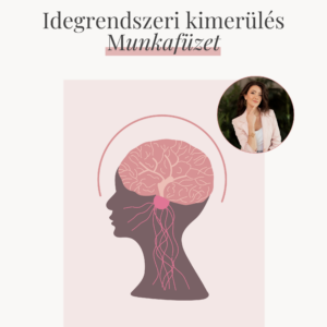 Idegrendszeri Kimerülés Munkafüzet