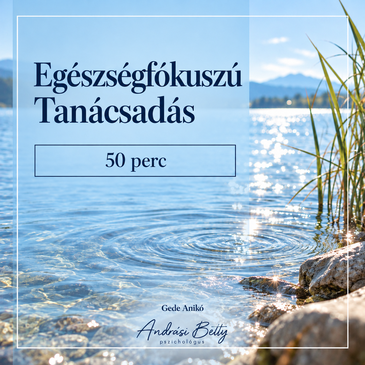 Egészségfókuszú Tanácsadás – Gede Anikó (50 perc)